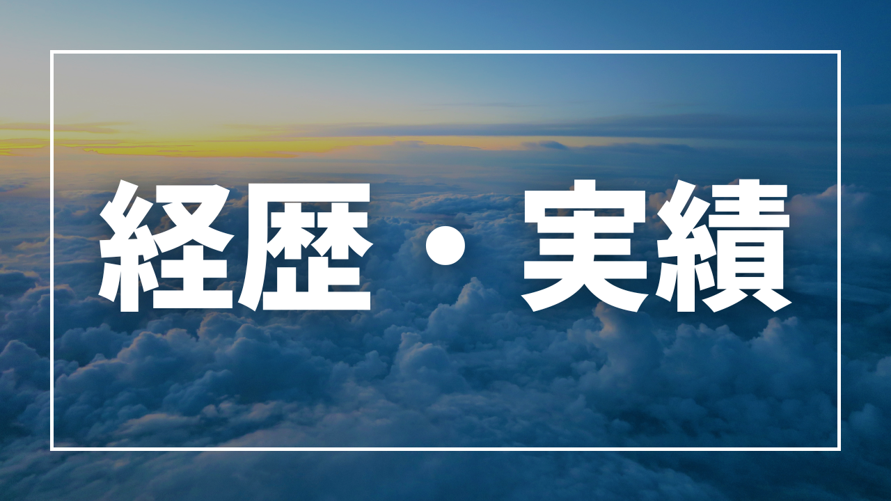 経歴・実績